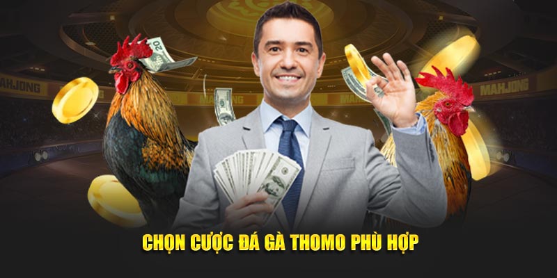 Chọn cược đá gà thomo phù hợp