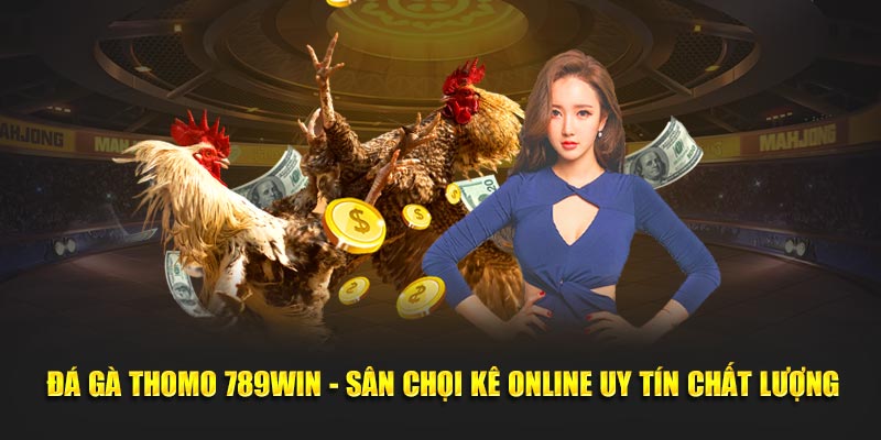 Đá gà thomo 789Win Sân chơi uy tín chất lượng