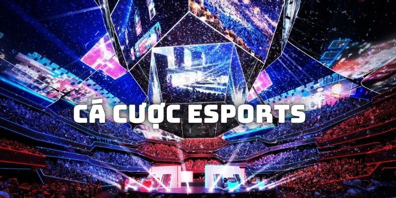 Khái quát về loại hình trò chơi cá cược Esports trực tuyến