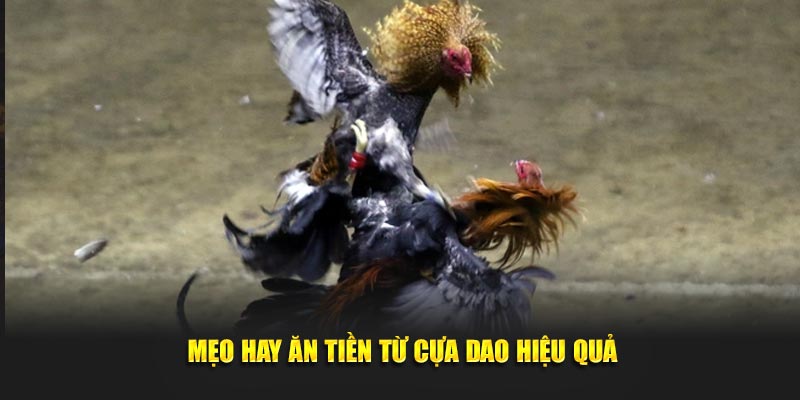 Mẹo hay ăn tiền từ cựa dao hiệu quả