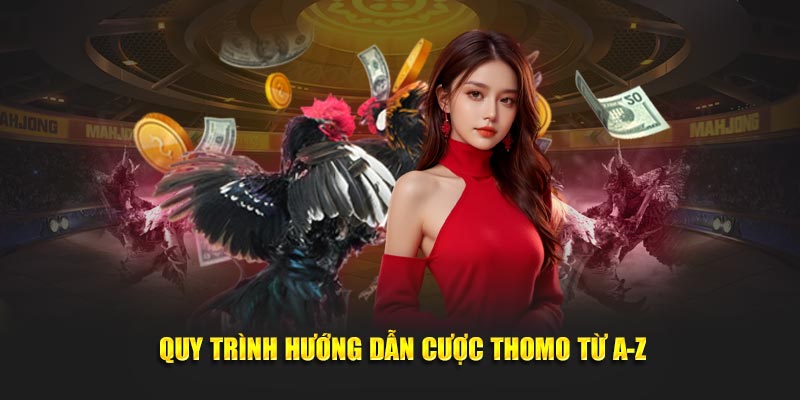 Quy trình hướng dẫn cược thomo từ a-z