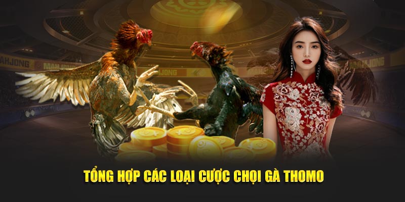 Tổng hợp các loại cược chọi gà thomo